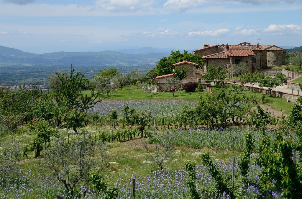 Agriturismo Villa Iris Castelfranco di Sopra 外观 照片