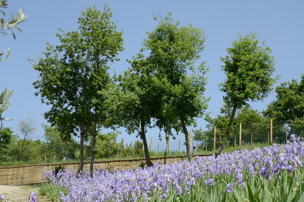 Agriturismo Villa Iris Castelfranco di Sopra 外观 照片