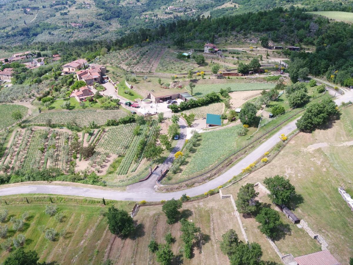 Agriturismo Villa Iris Castelfranco di Sopra 外观 照片