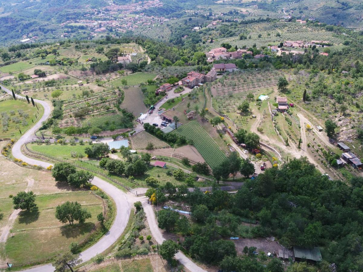 Agriturismo Villa Iris Castelfranco di Sopra 外观 照片